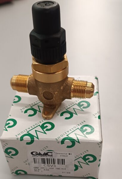 GMC CAPPED VALVE